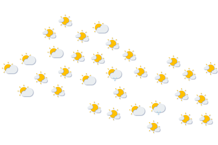 Forecast