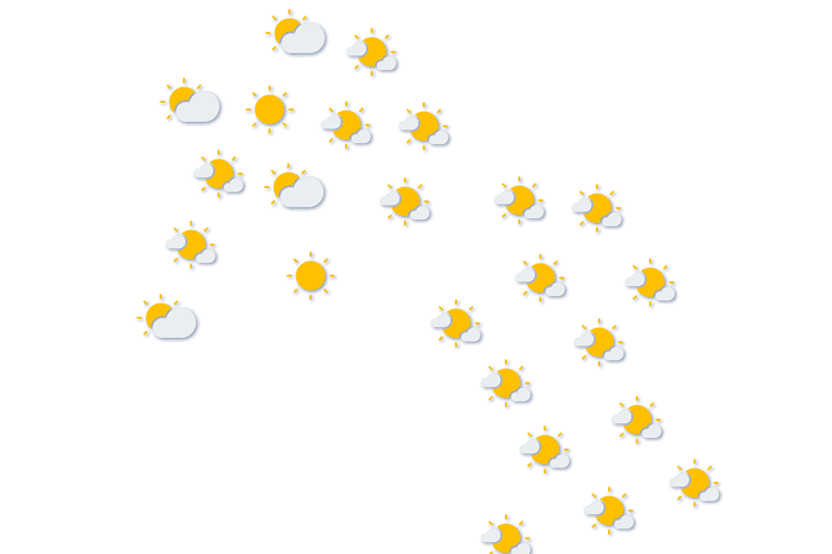Forecast