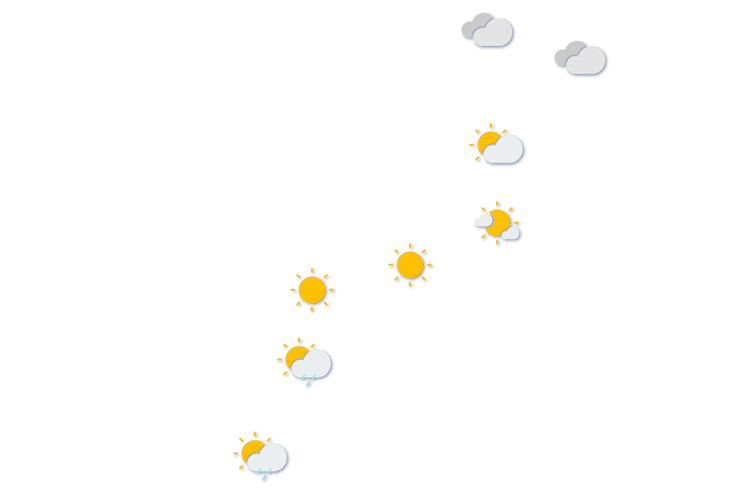 Forecast