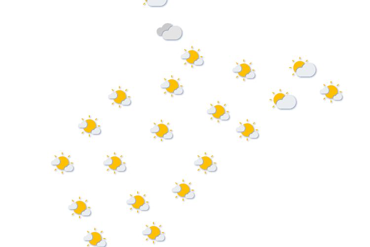 Forecast