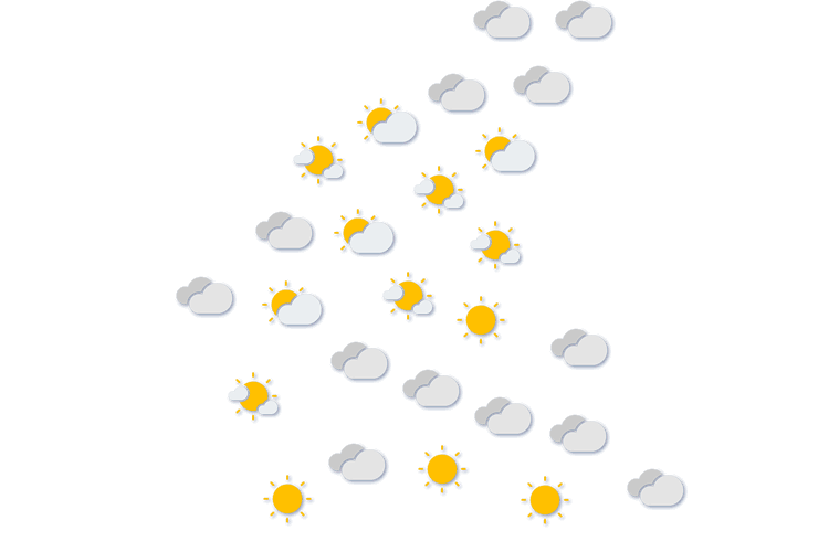 Forecast