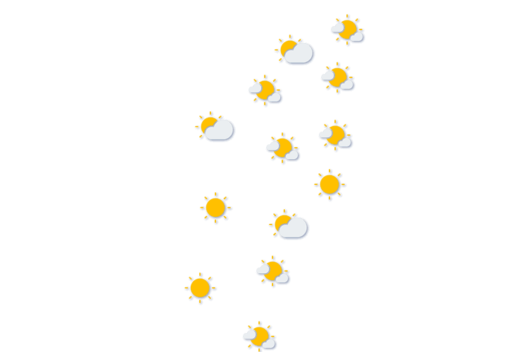 Forecast