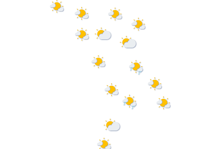 Forecast