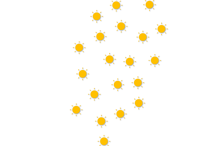 Forecast