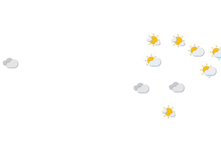 Forecast