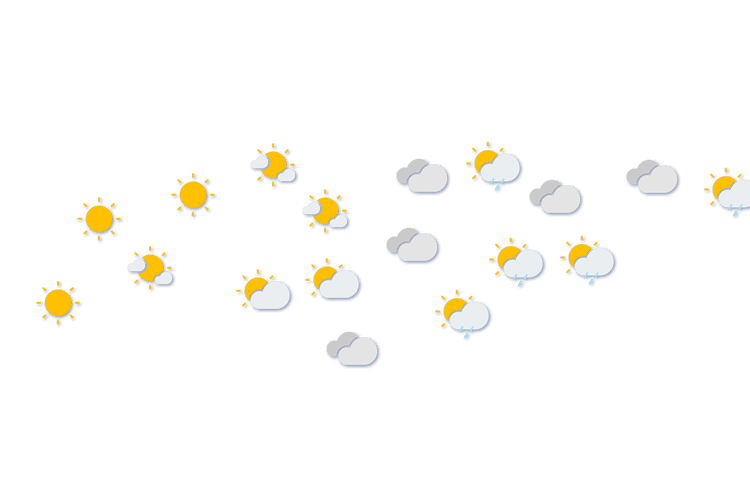 Forecast
