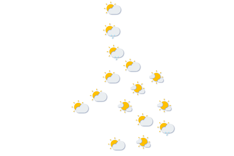 Forecast