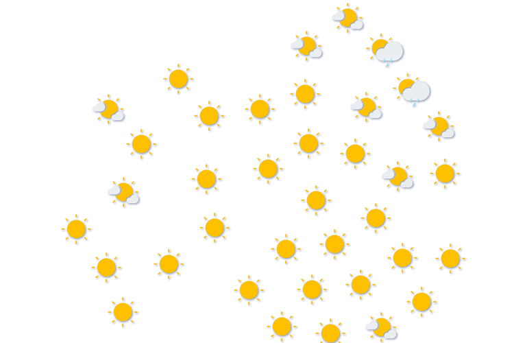 Forecast