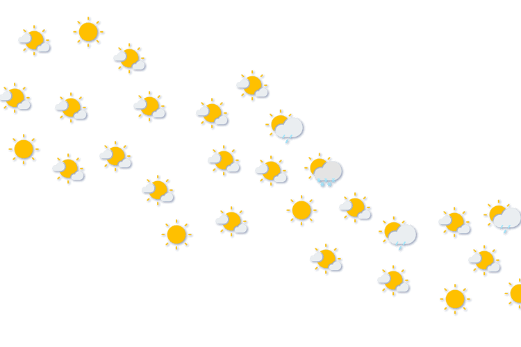 Forecast