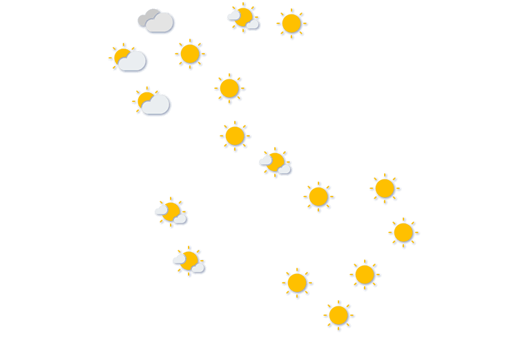 Forecast