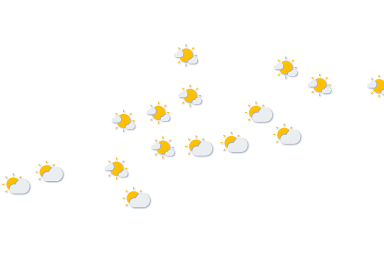 Forecast