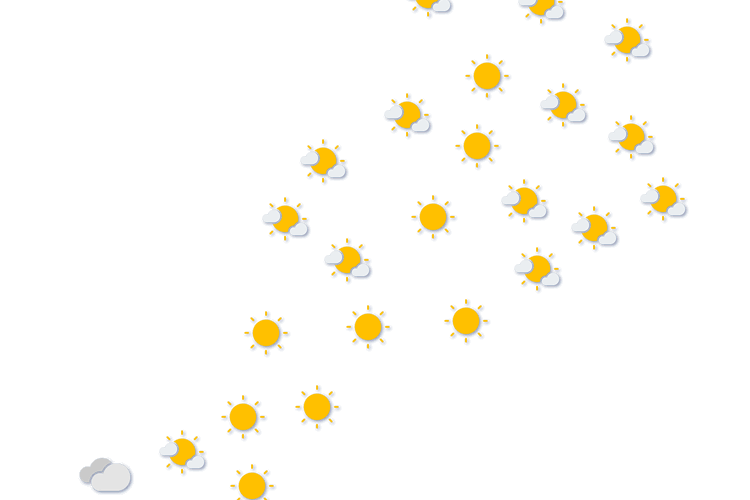 Forecast
