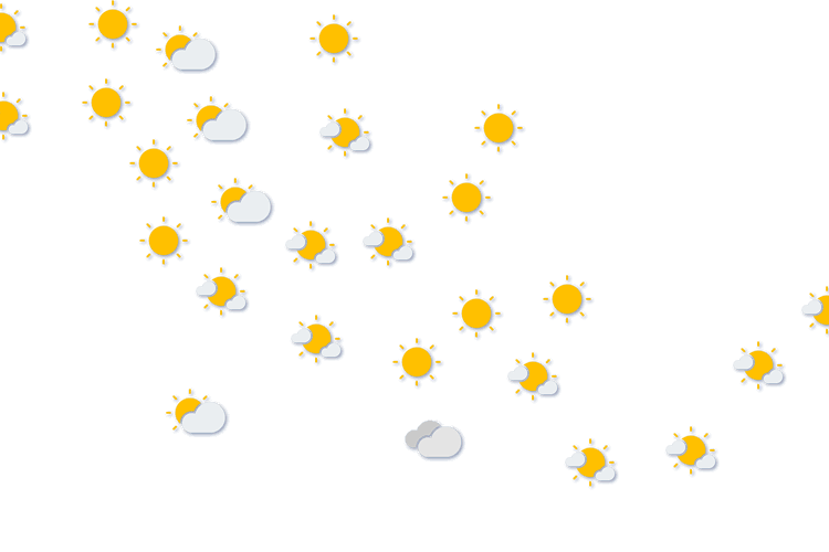 Forecast