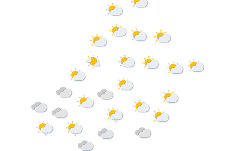 Forecast