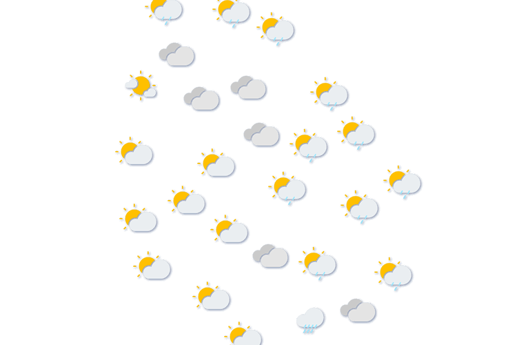 Forecast