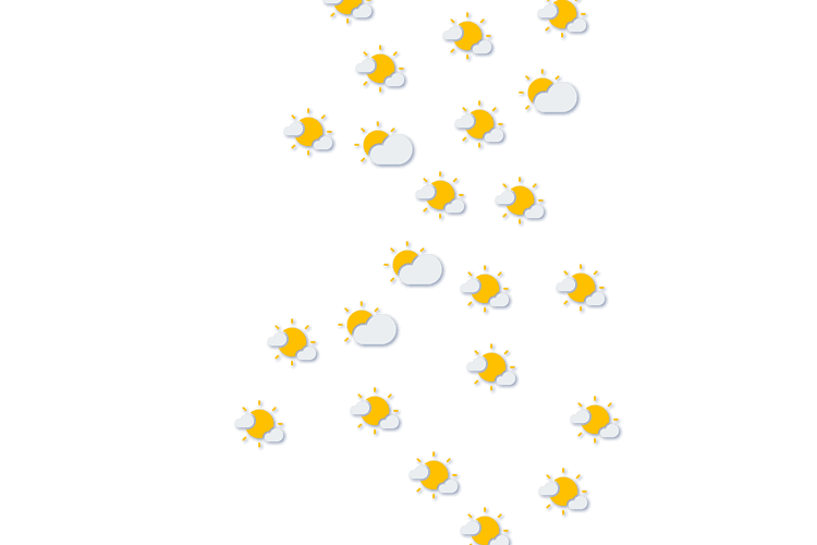Forecast
