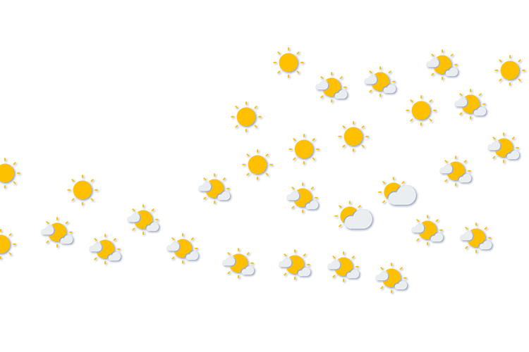 Forecast