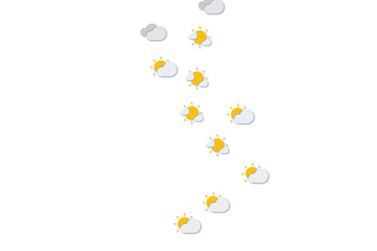 Forecast