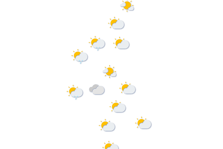 Forecast