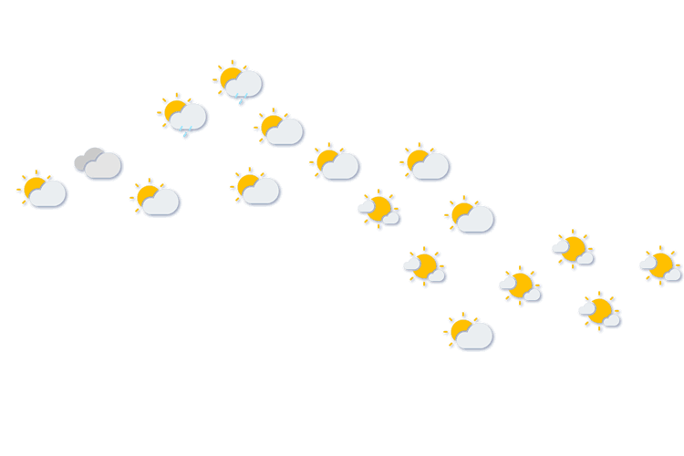 Forecast