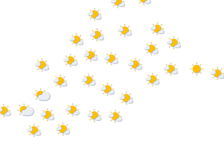 Forecast