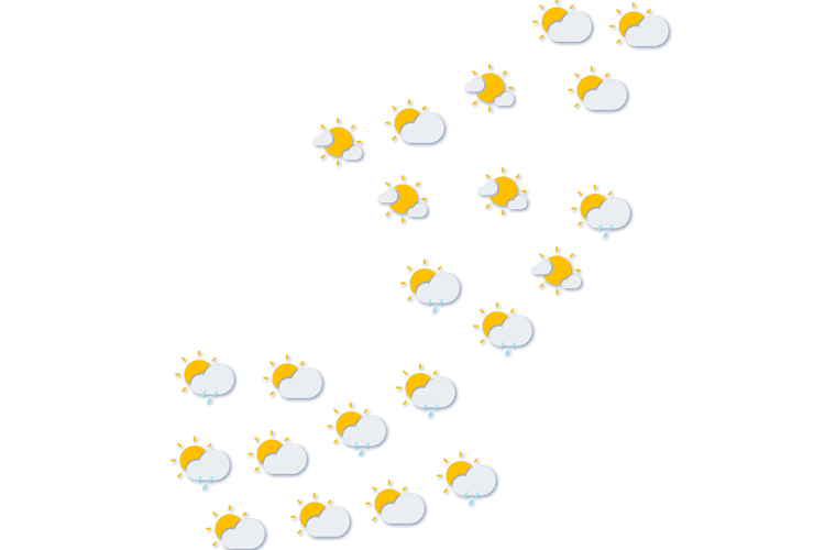 Forecast