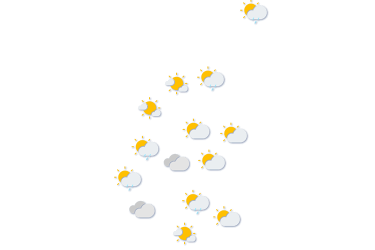 Forecast