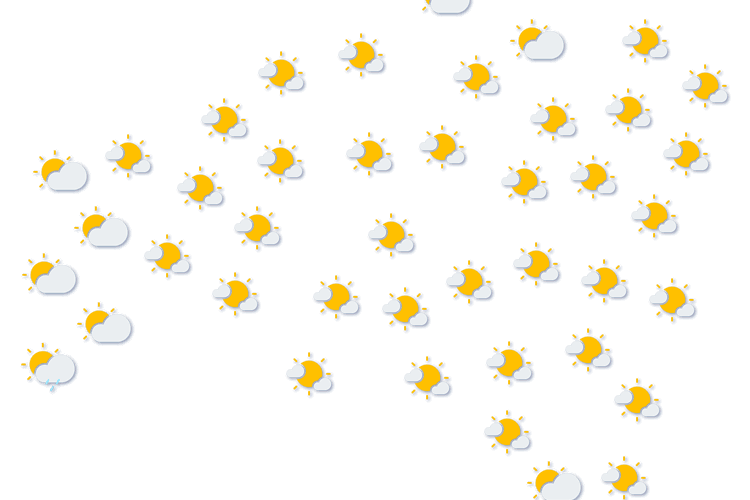 Forecast