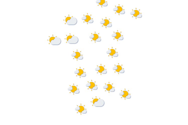Forecast