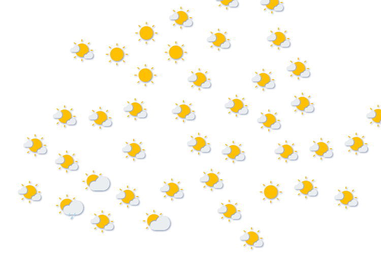 Forecast