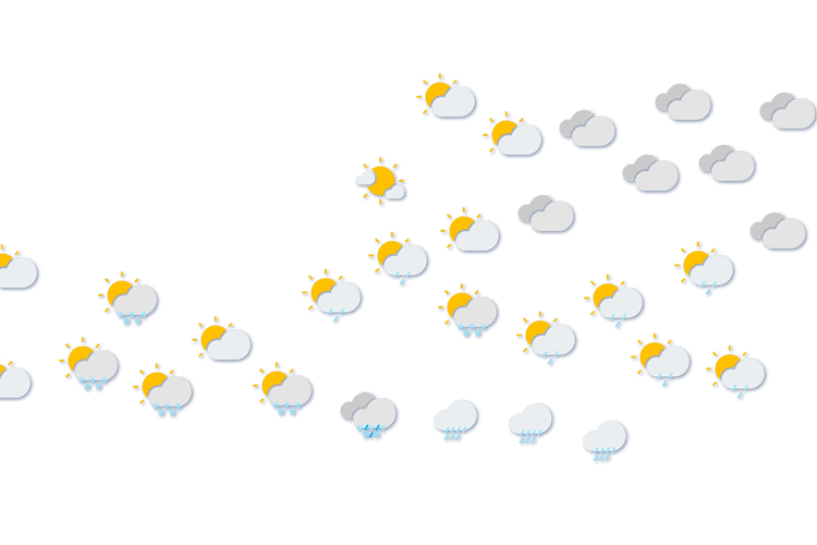Forecast