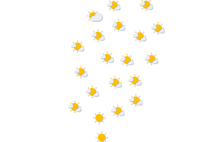 Forecast