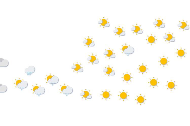 Forecast