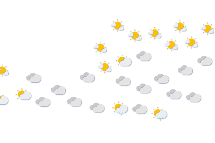 Forecast