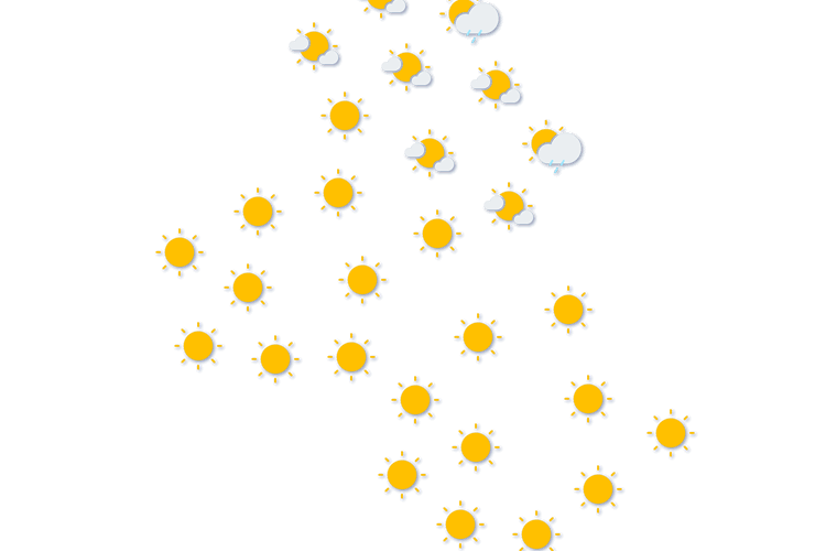 Forecast