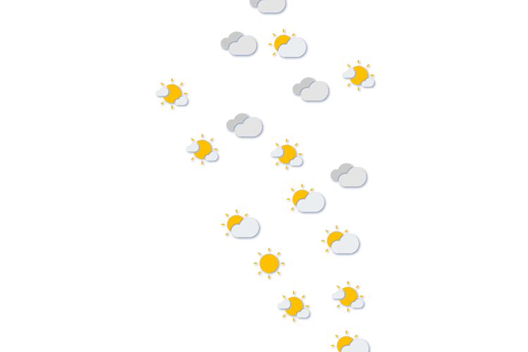 Forecast