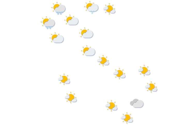 Forecast