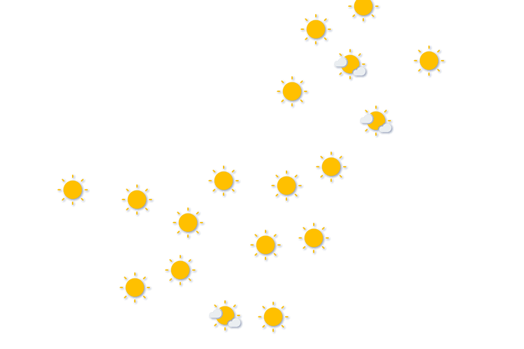 Forecast