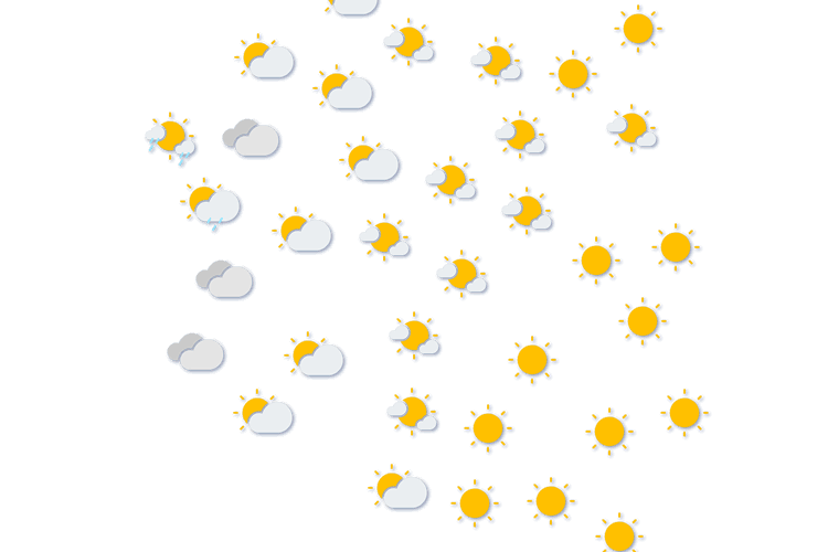 Forecast