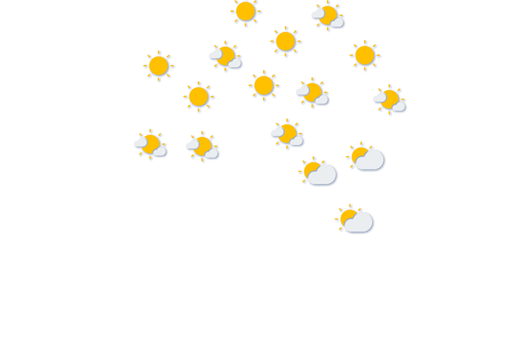 Forecast