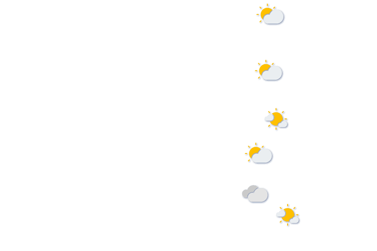 Forecast