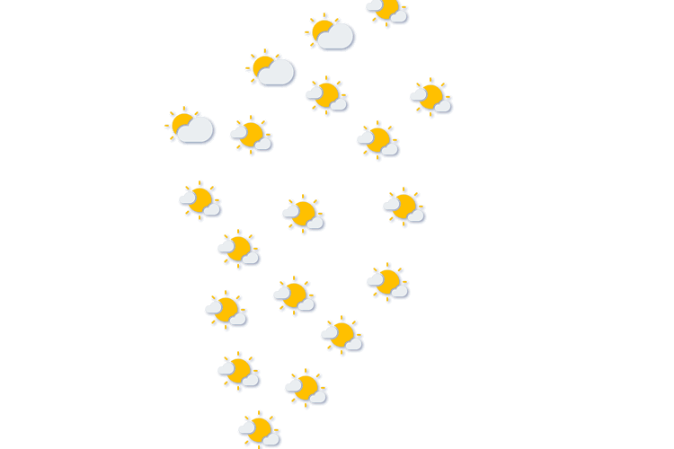 Forecast