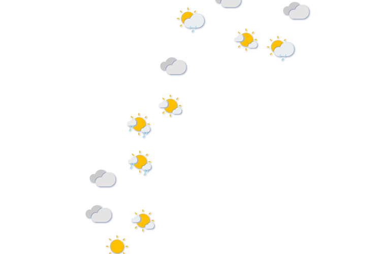 Forecast