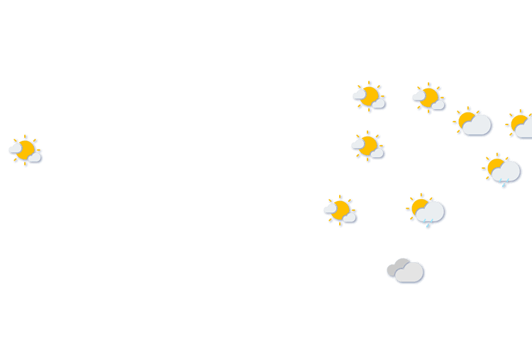Forecast