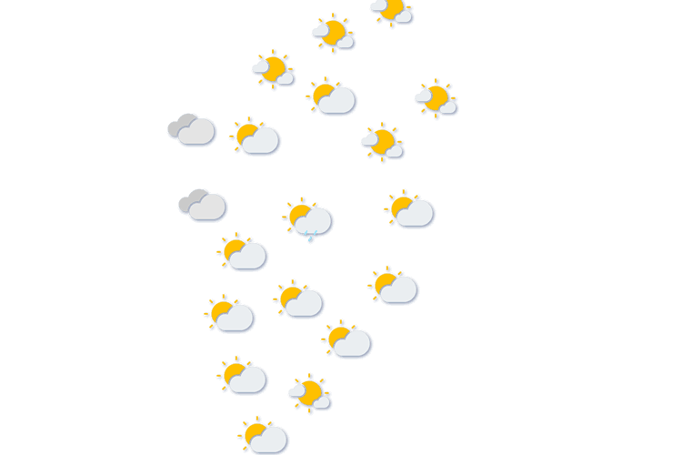 Forecast