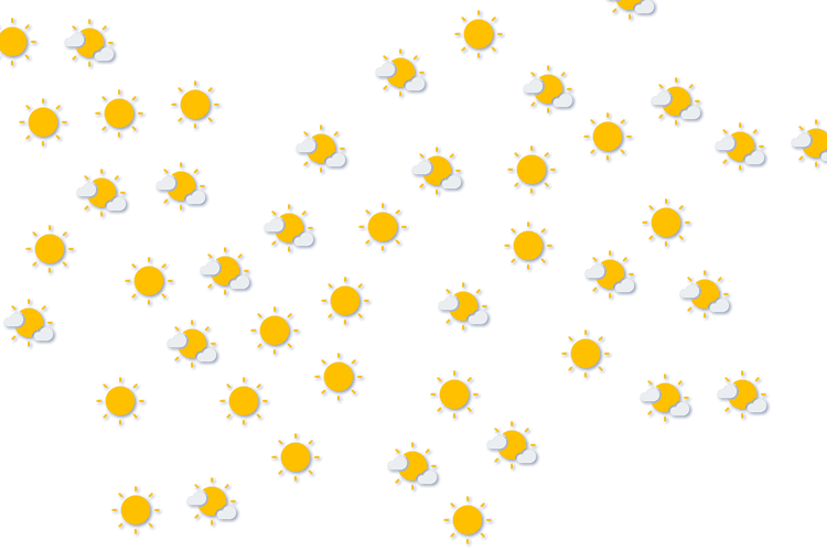 Forecast