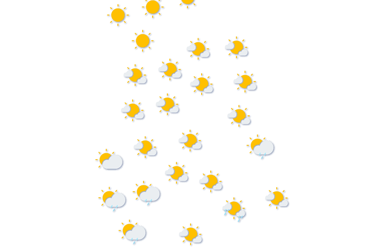 Forecast