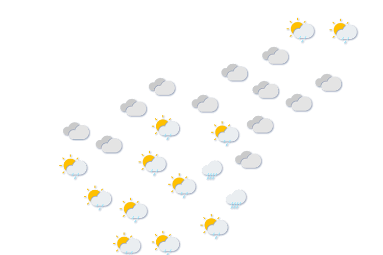 Forecast