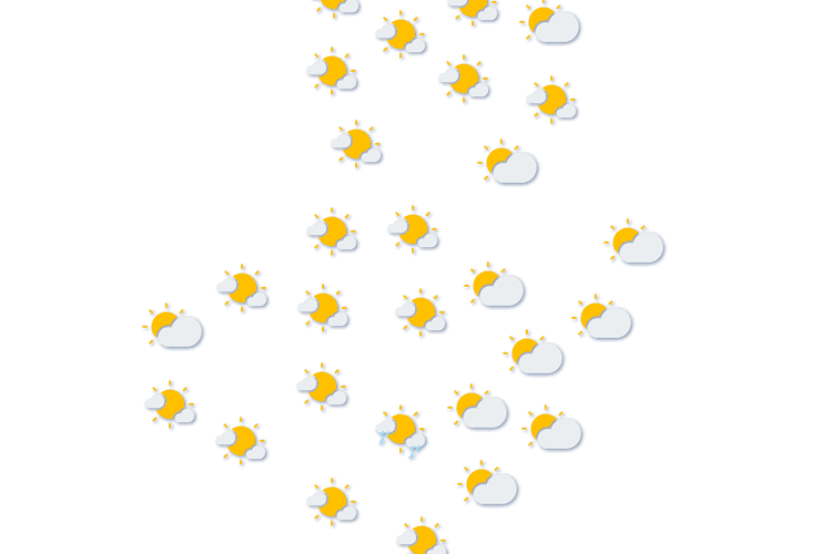 Forecast