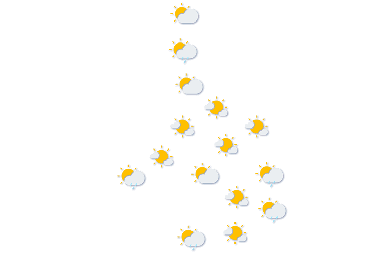 Forecast